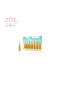 Ampollas Intense Overnight  Repair [7 ampollas de 2 ml.]