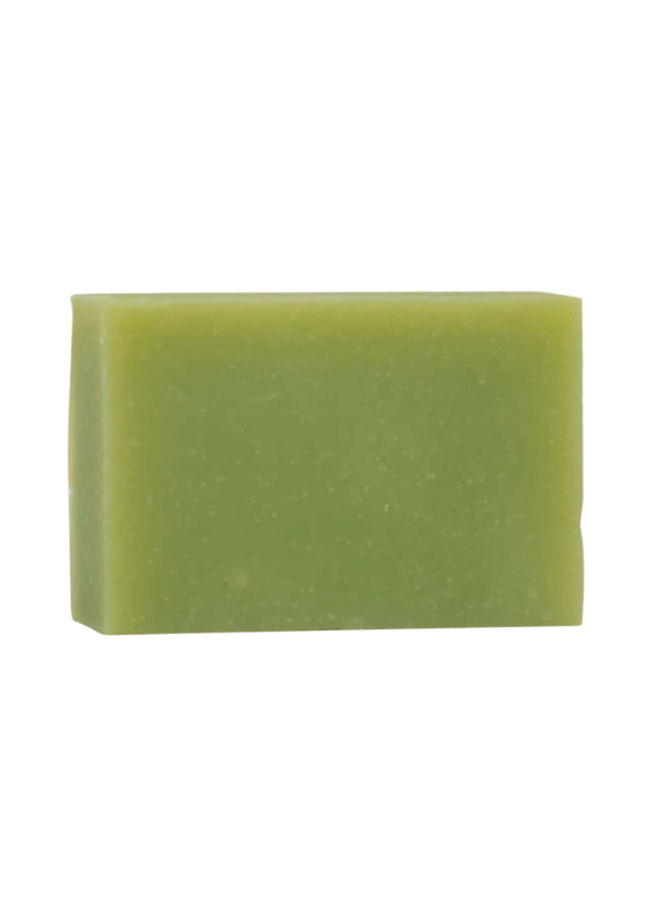Jabón Natural de Aloe Vera 100 gr