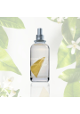 Orange Blossom Fragancia Bio Orgánica 200ml