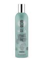 Champú para el cabello graso volumen y frescor 400ml