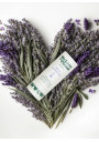 Desodorante en Stick Wild Lavender · 40 g | We Love The Planet