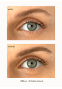 FillBrow · Rotulador de Cejas de Larga Duración | puroBIO