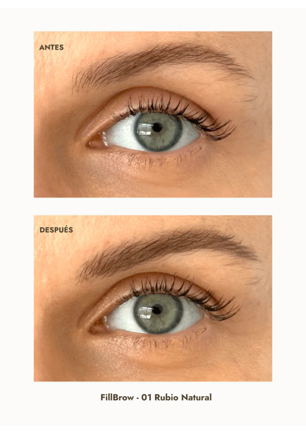 FillBrow · Rotulador de Cejas de Larga Duración | puroBIO