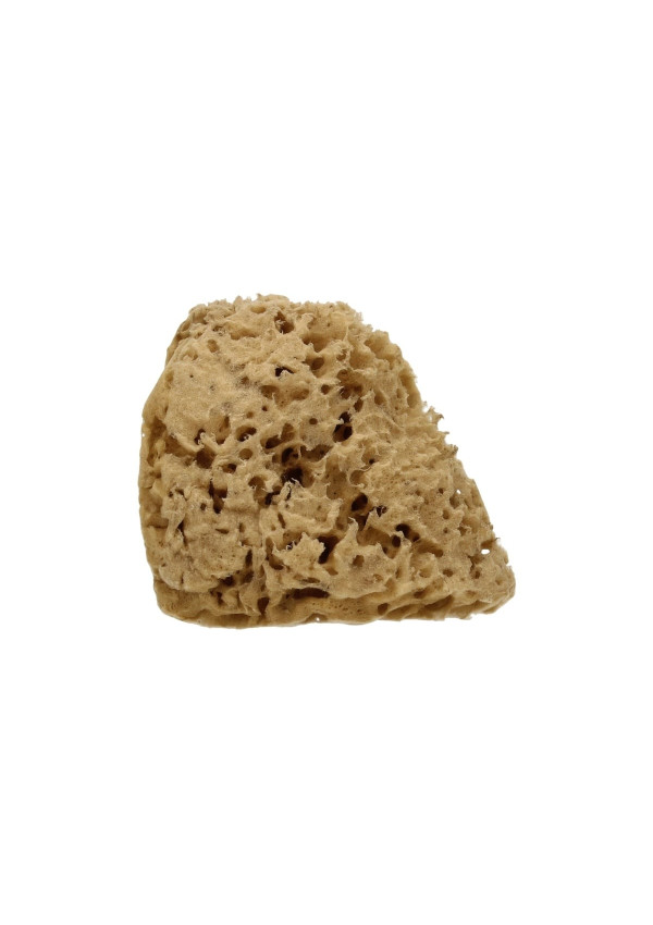 ESPONJA HONEY COMB  EXTRA SUAVE