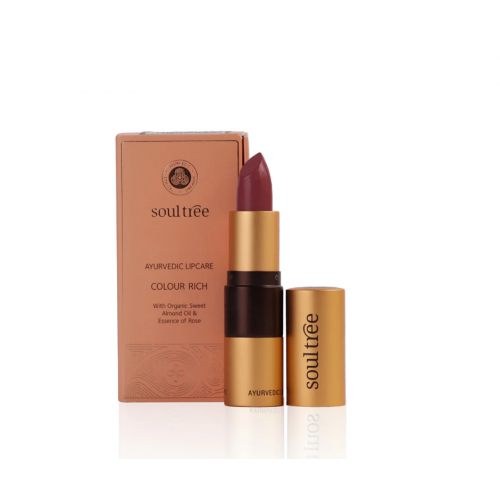 Barra de Labios Iced Plum 520 4gr