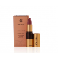 Barra de Labios Iced Plum 520 4gr