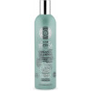 Champú para el cabello graso volumen y frescor 400ml
